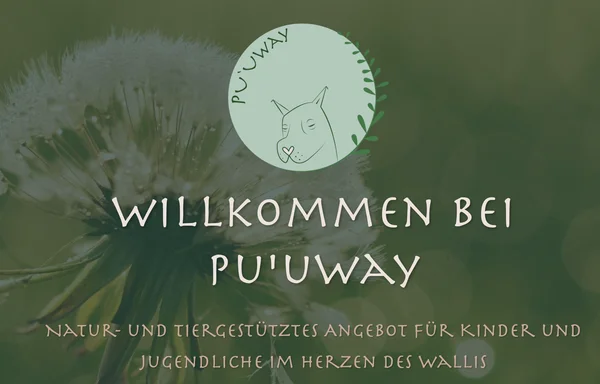 Screenshot der Website pu-uway.ch – Wellness-Unternehmen Pu'uway aus Brigerbad VS
